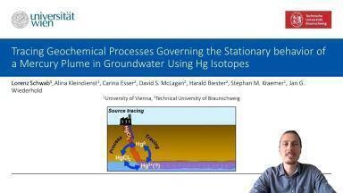 Tracing Geochemical Processes Governing the Stationary behavior of a Hg Plume in Groundwater Using Hg Isotopes
